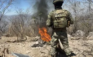 Resultados contundentes contra el crimen: Sinaloa desmantela laboratorios, campamentos y redes armadas