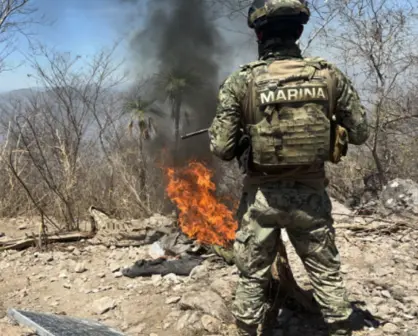 Resultados contundentes contra el crimen: Sinaloa desmantela laboratorios, campamentos y redes armadas