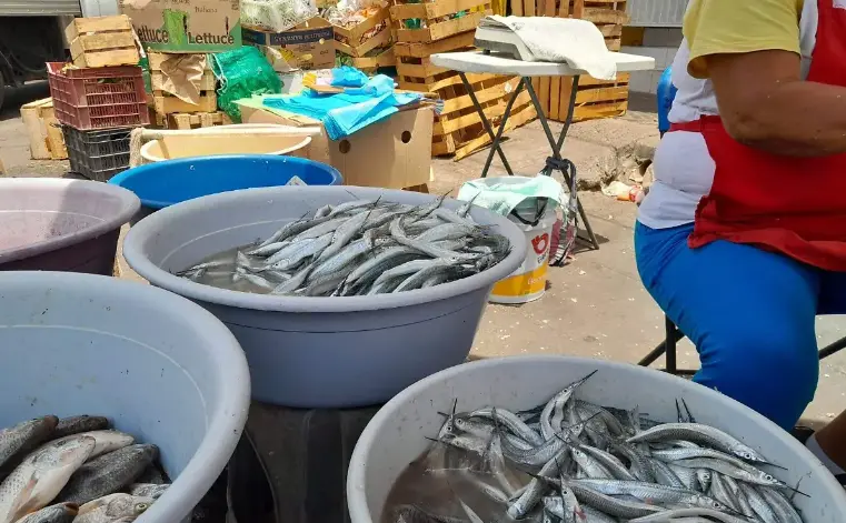Venta de pez pajarito en la vía Pública de Mazatlán.