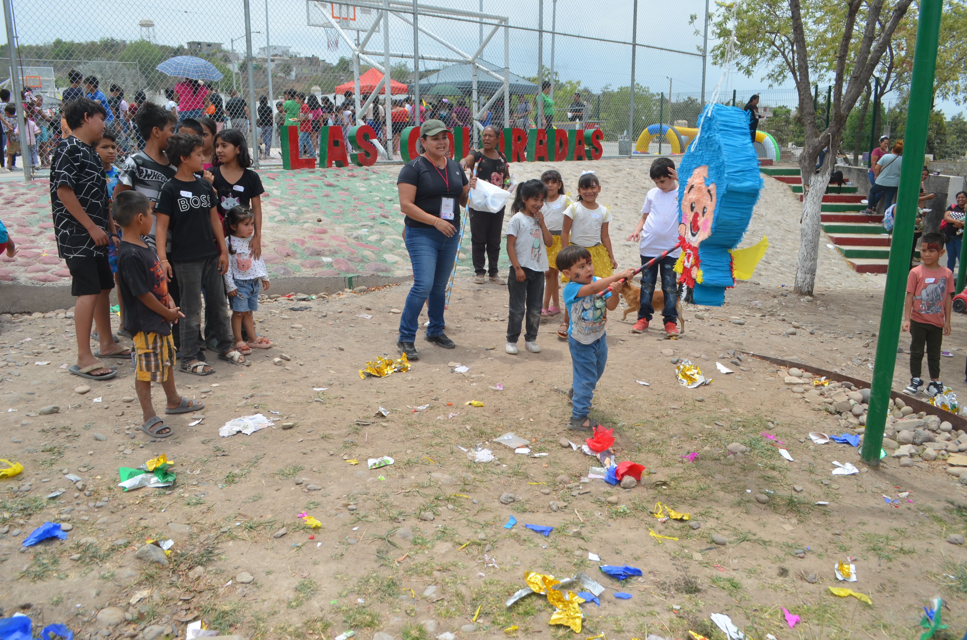 Imagen 6