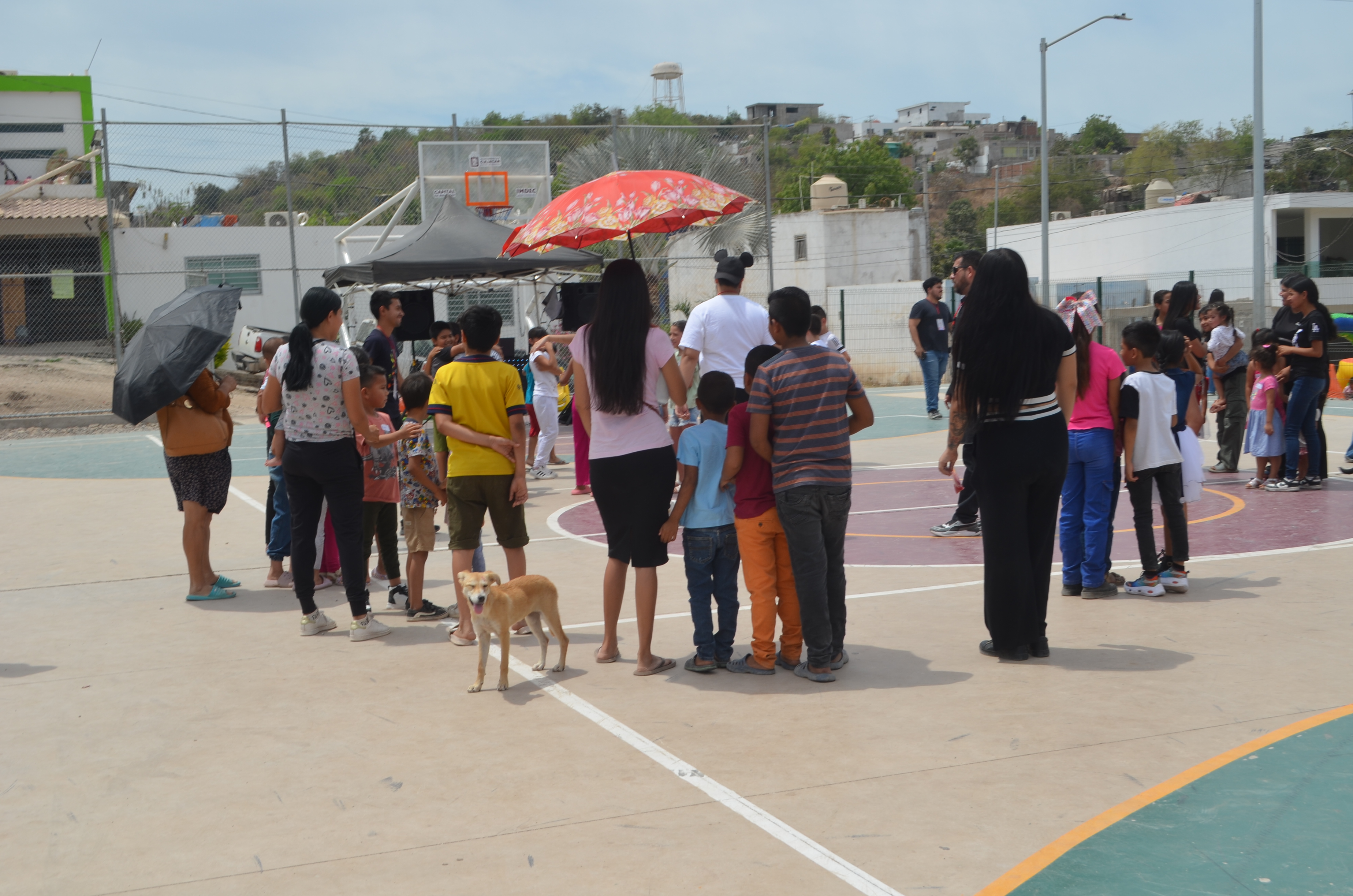 Imagen 18