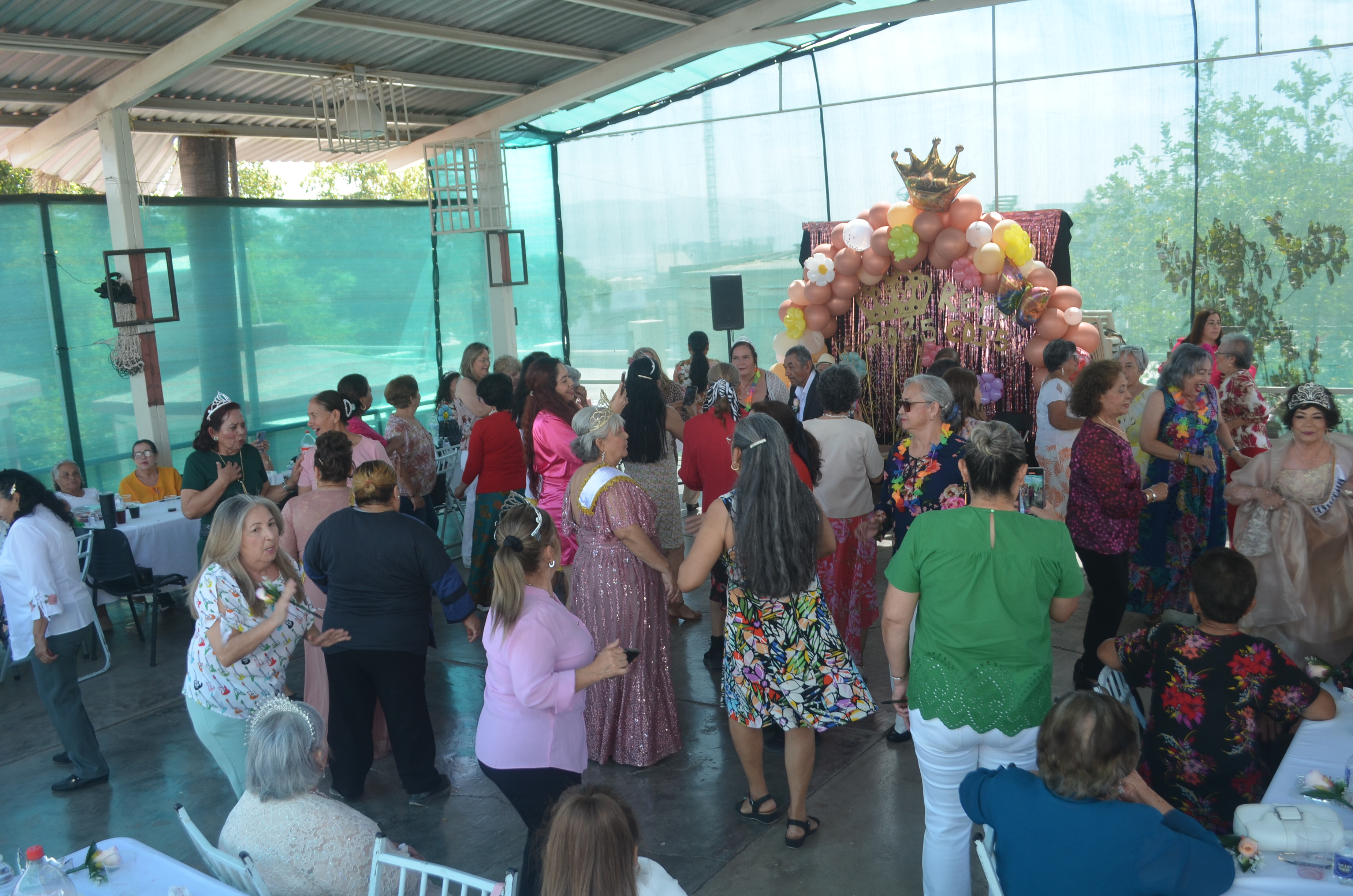 Imagen 25