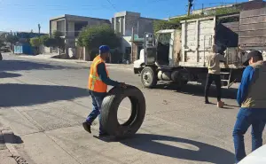 Descacharrización en Culiacán: eliminan criaderos de zancudos en Guadalupe Victoria