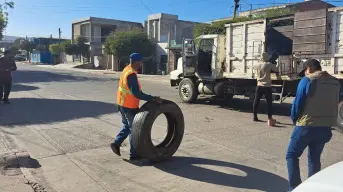 Descacharrización en Culiacán: eliminan criaderos de zancudos en Guadalupe Victoria