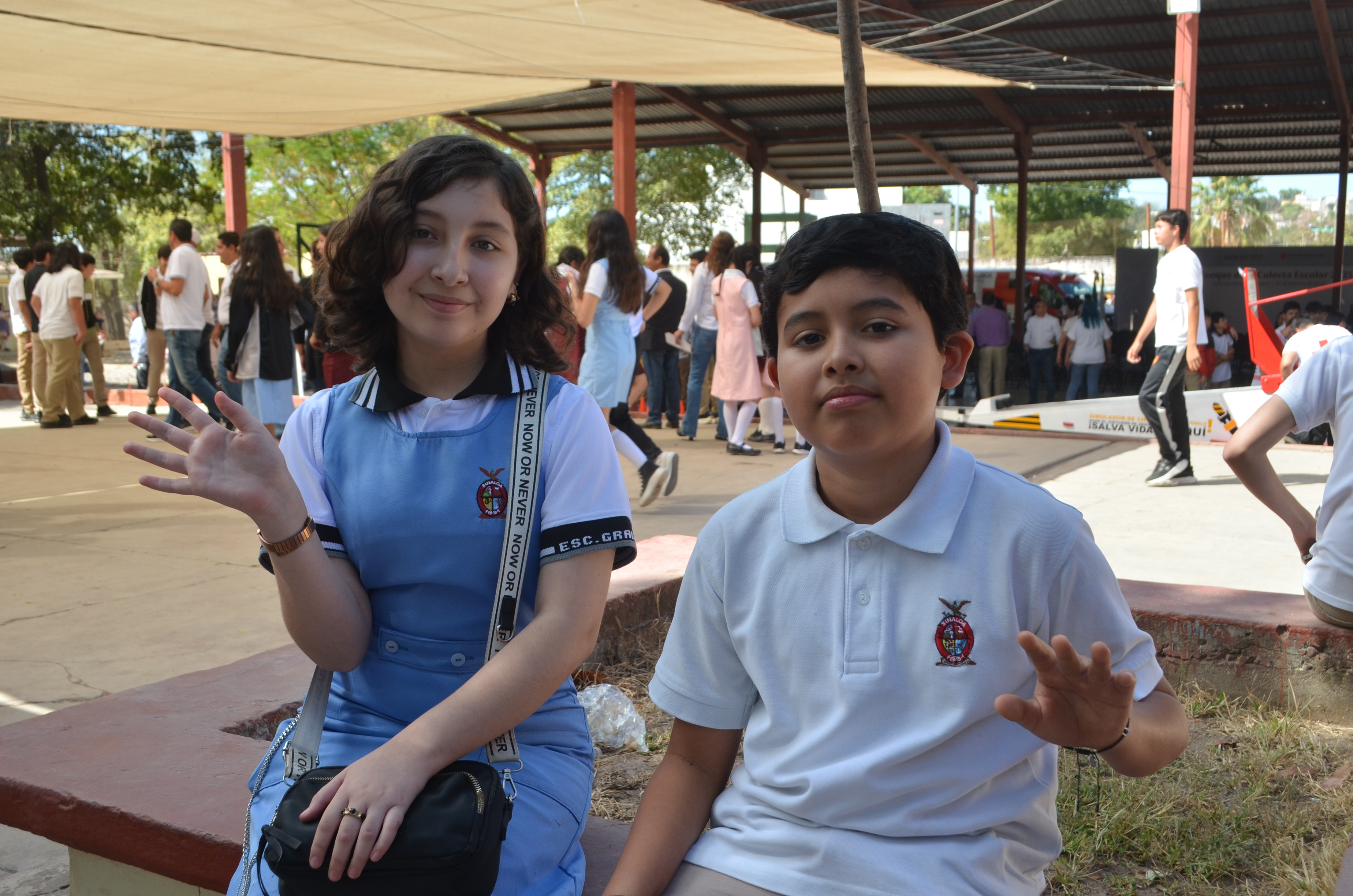 Imagen 6