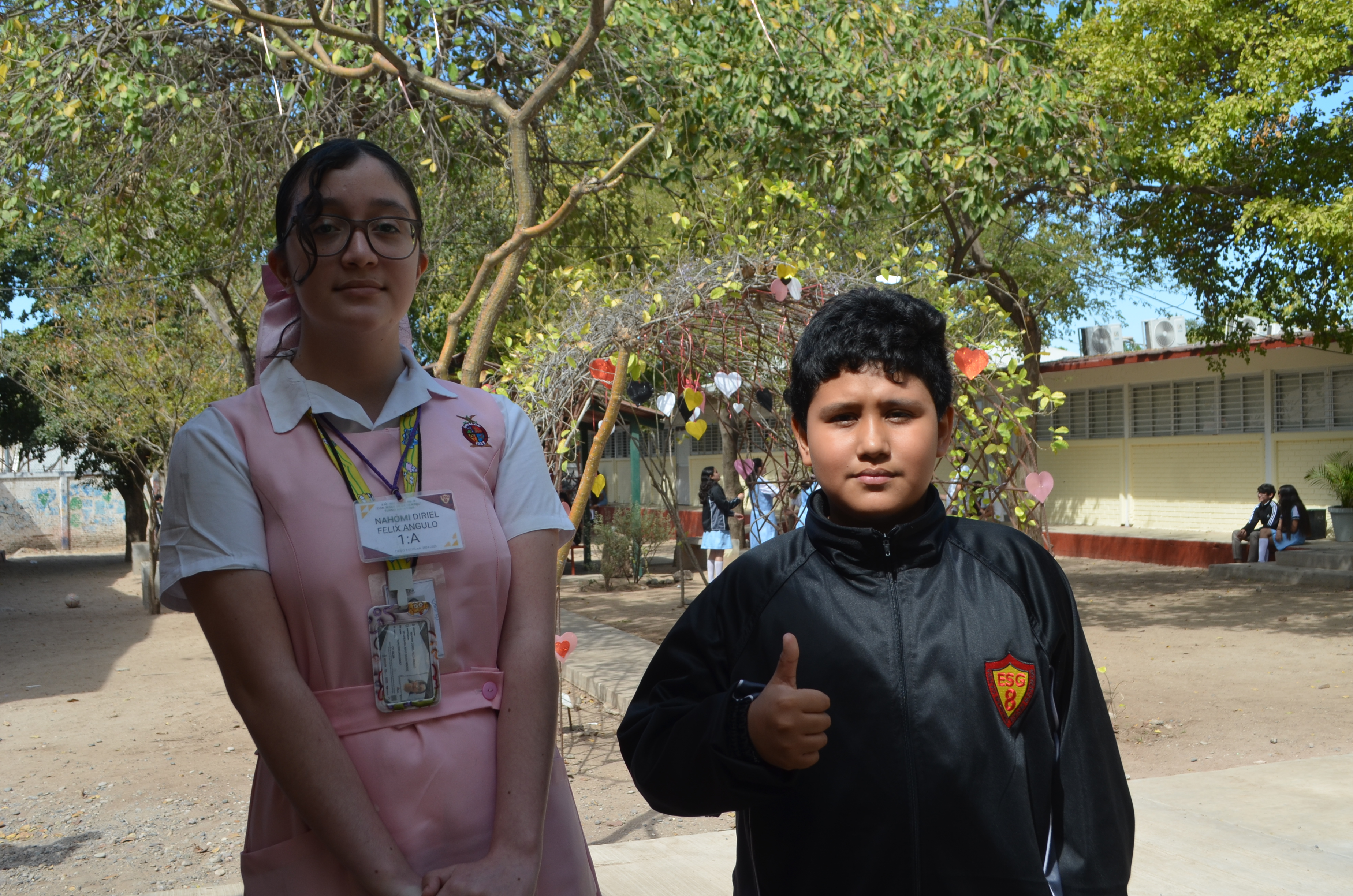 Imagen 7