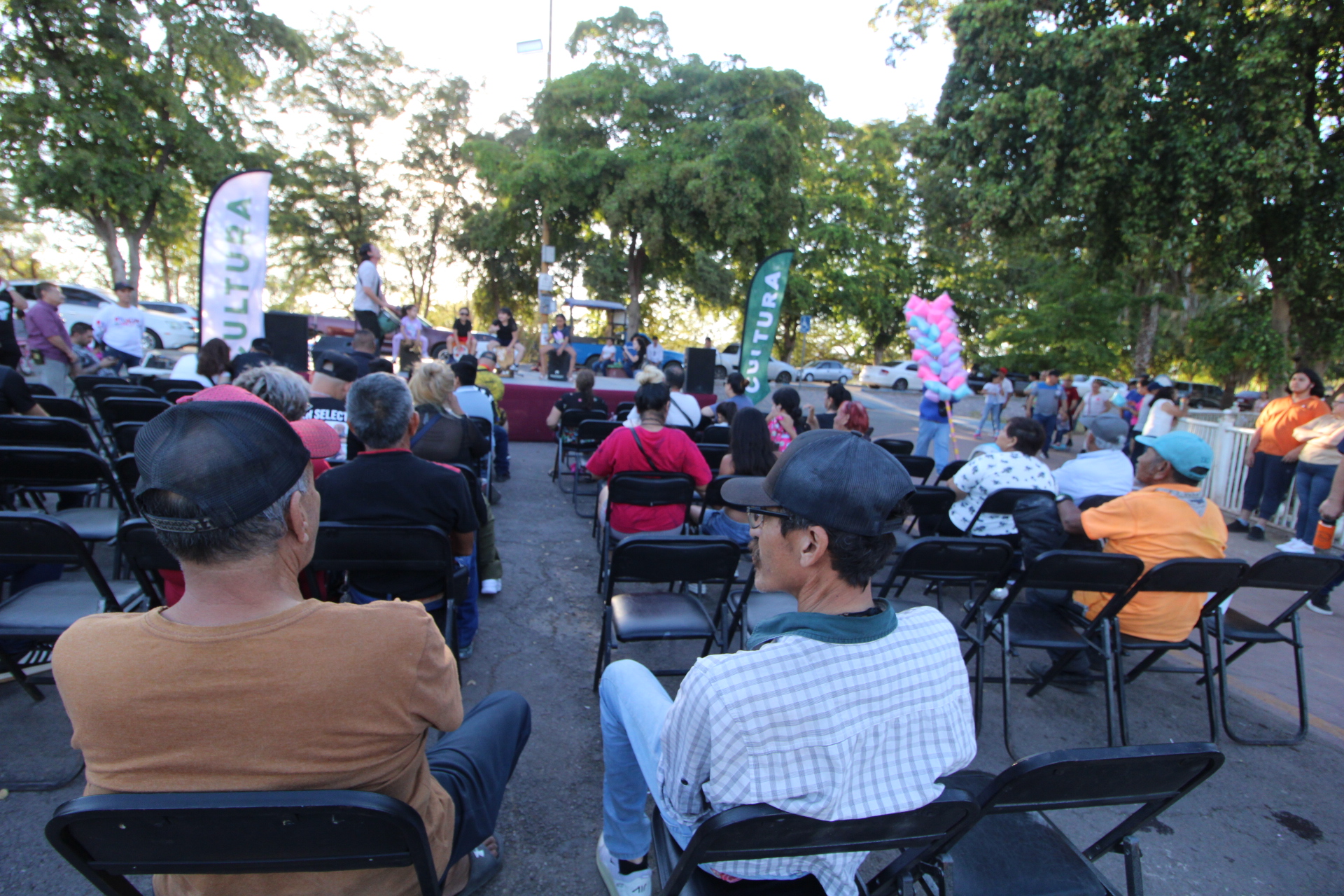 Imagen 2