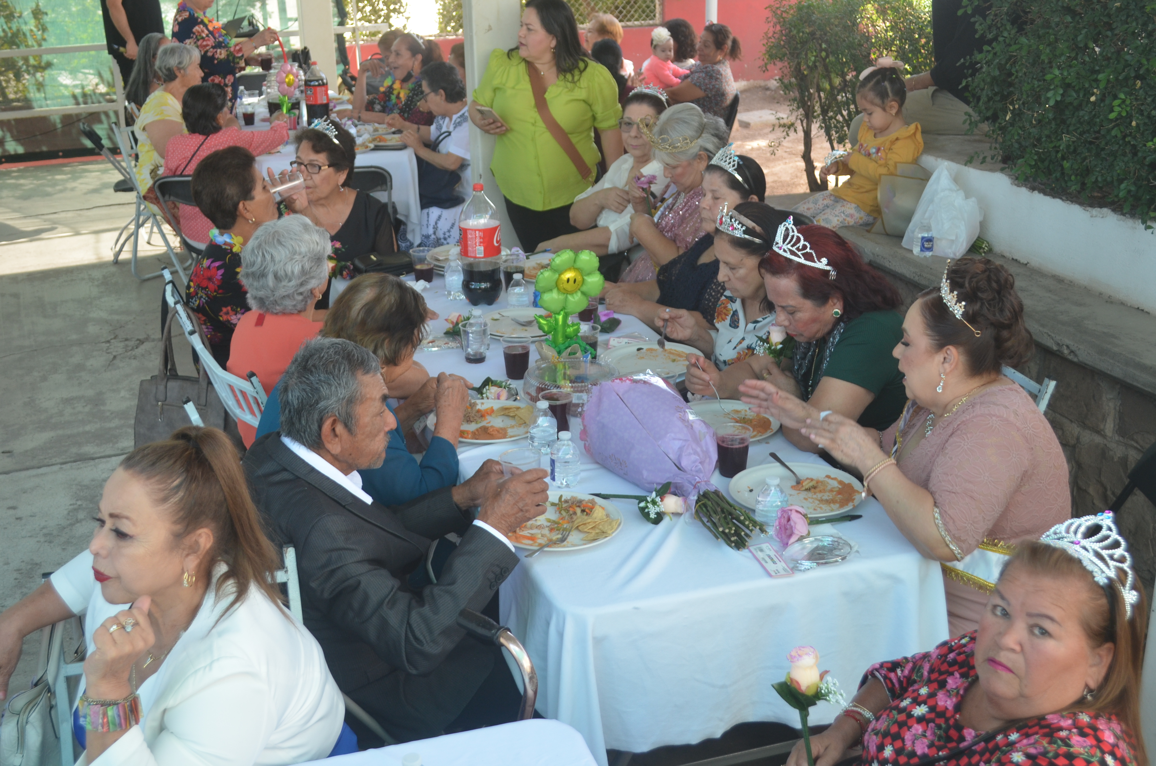 Imagen 11