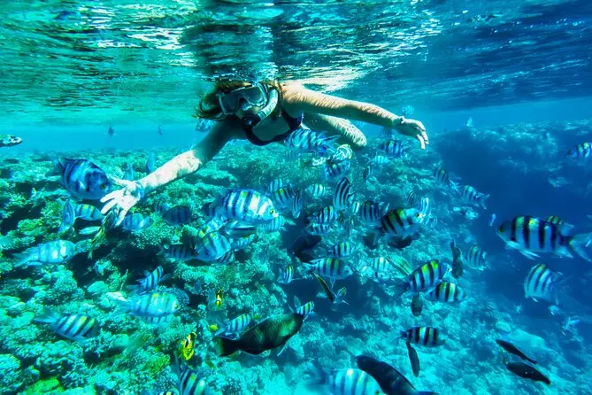 No dejes pasar la oportunidad de vivir la experiencia de hacer snorkel. Foto. Tripadvisor.