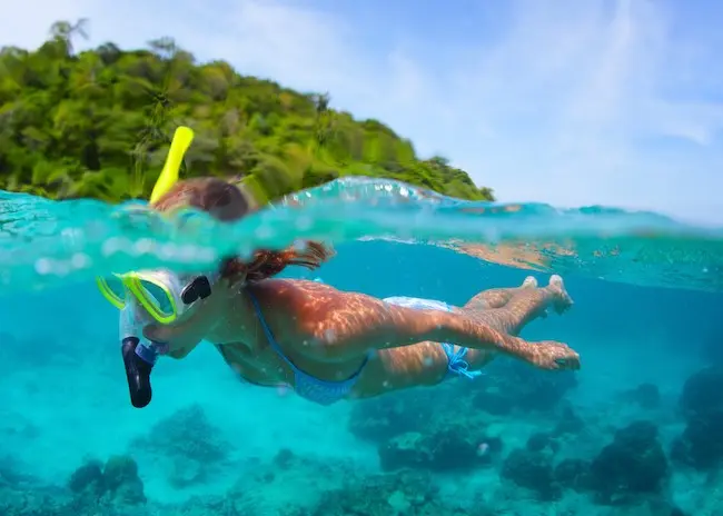 Disfruta de la vida marina en Arrecife Villa Blanca. Foto: Cozumel Snorkeling Tours.