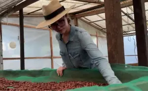 Andrea Vila, chiapaneca de 16 años, la catadora de cacao más joven del mundo