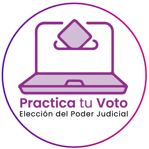 En esta sección podrás conocer un poco de la trayectoria de los candidatos, como también practicar el llenado de las boletas. Foto: Cortesía.