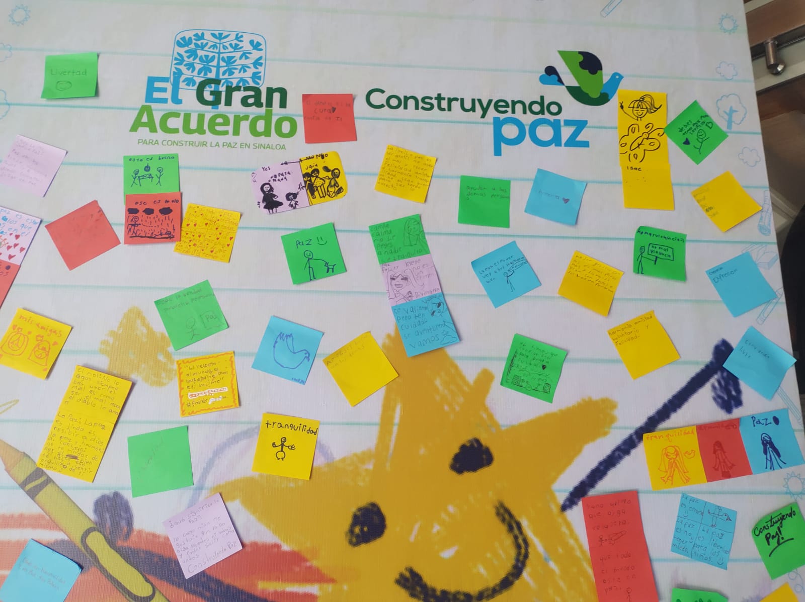Imagen 15