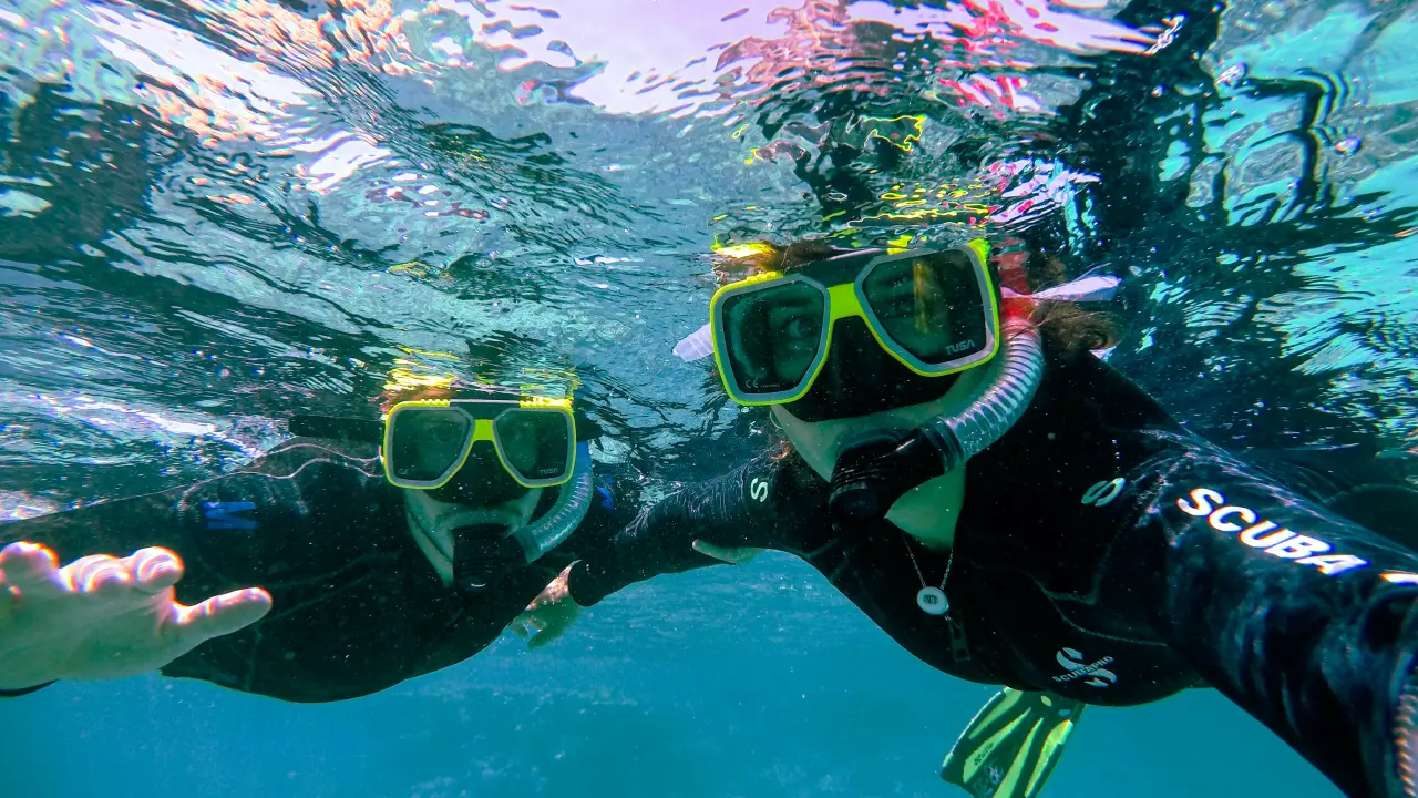 Estos son los lugares donde puedes hacer snorkel en Cozumel. Foto: Pixabay.