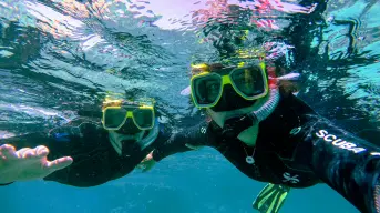 Los mejores tres lugares para realizar snorkel en Cozumel