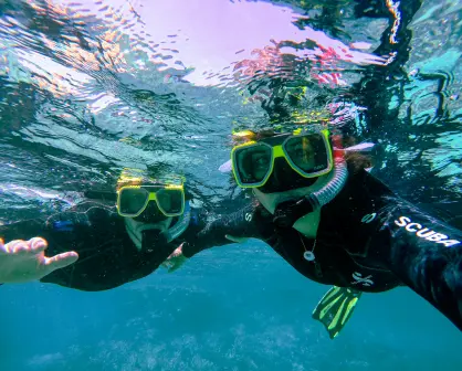 Los mejores tres lugares para realizar snorkel en Cozumel