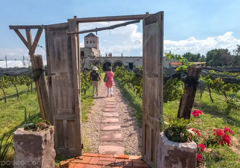 Disfruta de su hermosa arquitectura e increíbles vinos. Foto: cortesía