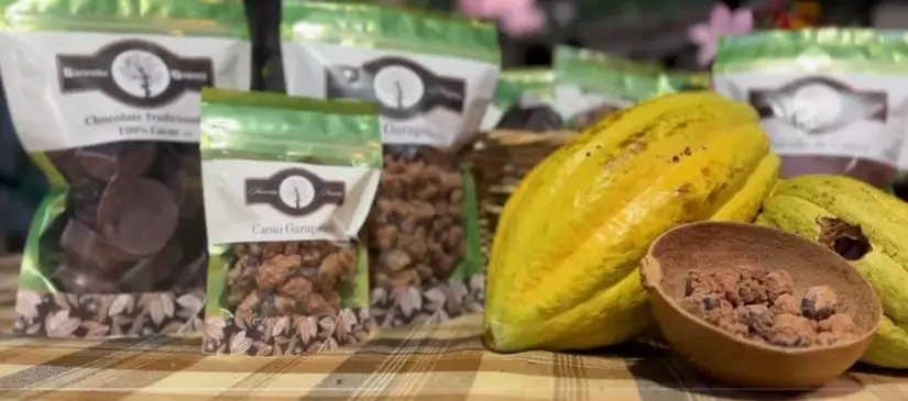 Familia dedicada al cultivo del Cacao. Foto: Captura Tiktok Alertachiapas