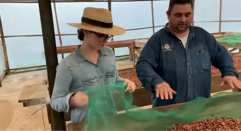 Un amor por el Cacao y el chocolate heredado de generación en generación. Captura Tiktok Alertachiapas