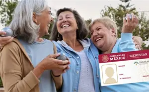 Tarjeta Inapam: ¿Hay descuento en el recibo de la luz? CFE responde