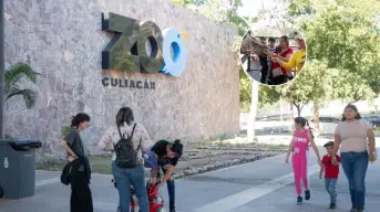 Zoológico de Culiacán da entrada gratis para todas las mamás este 10 de mayo