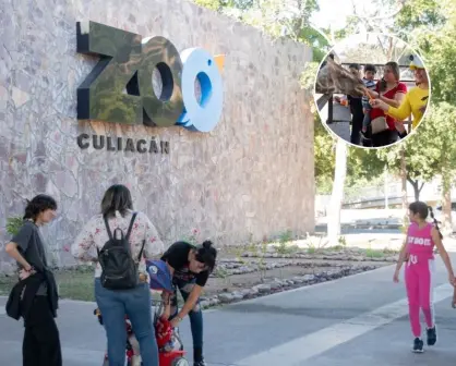 Zoológico de Culiacán da entrada gratis para todas las mamás este 10 de mayo