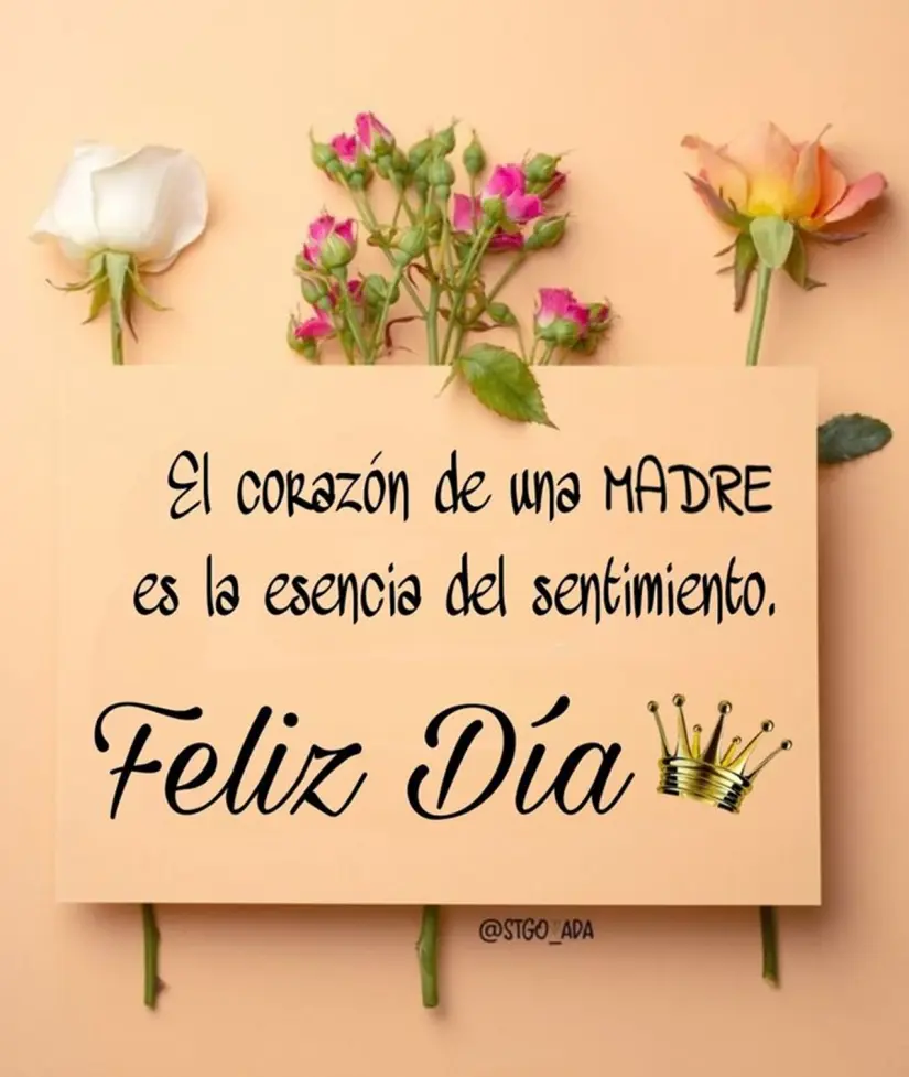 Frases hermosas por el Día de las Madres.