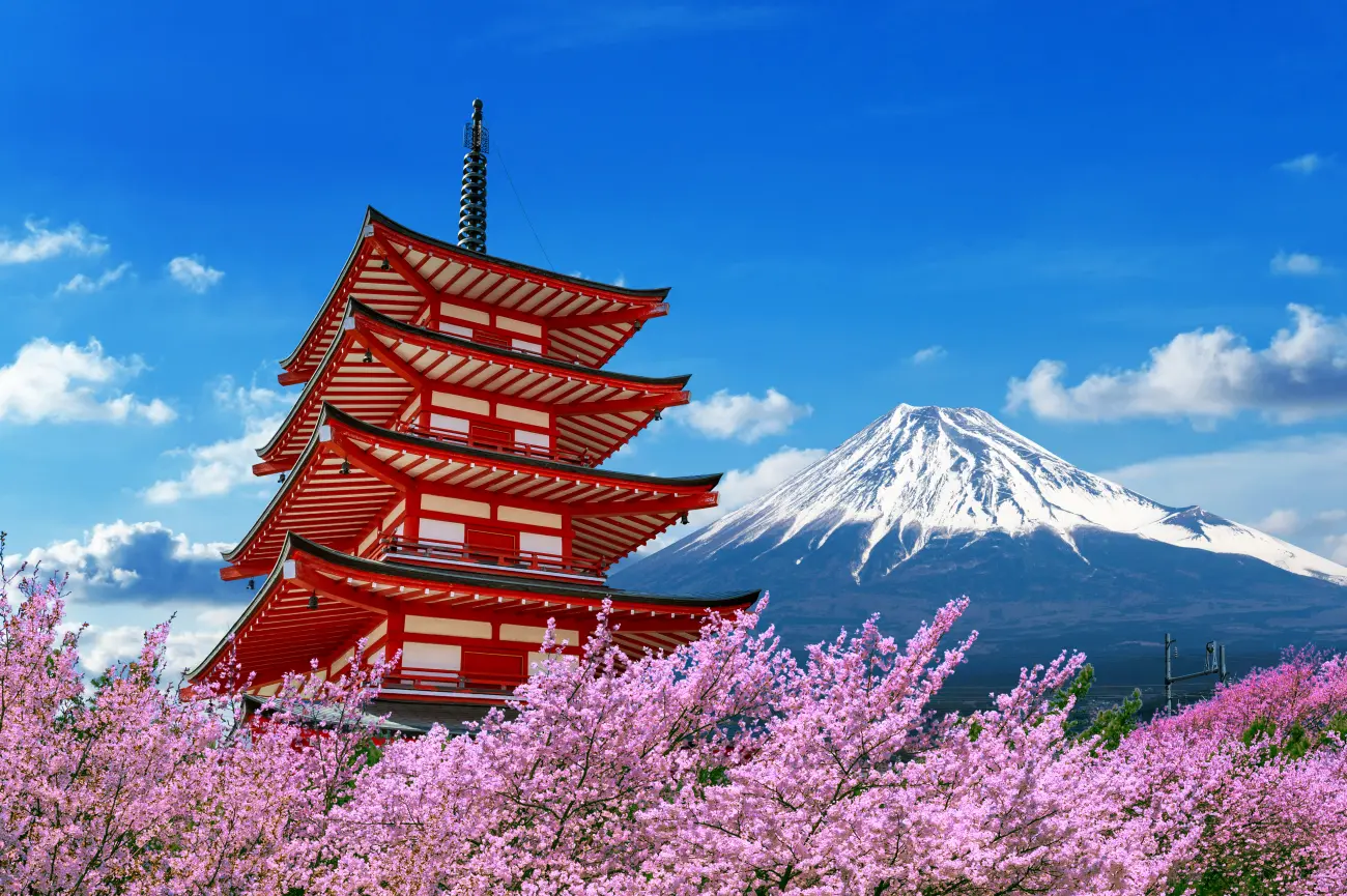 6 Modelos Mentales Japoneses que Reconfiguran tu Cerebro para Obtener Calma y Claridad