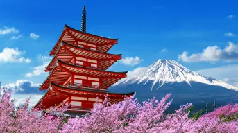 6 modelos mentales japoneses que reconfiguran tu cerebro para obtener calma y claridad
