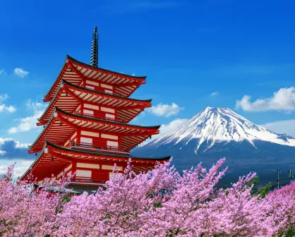 6 modelos mentales japoneses que reconfiguran tu cerebro para obtener calma y claridad
