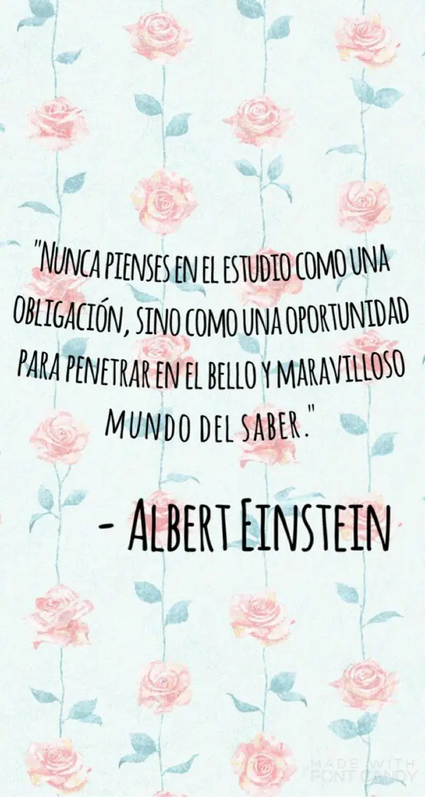 Frases para felicitar en el Día del Maestro