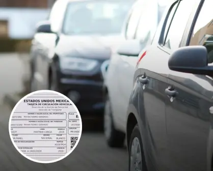 Tarjeta de Circulación en Chihuahua 2025; precio y como imprimirla