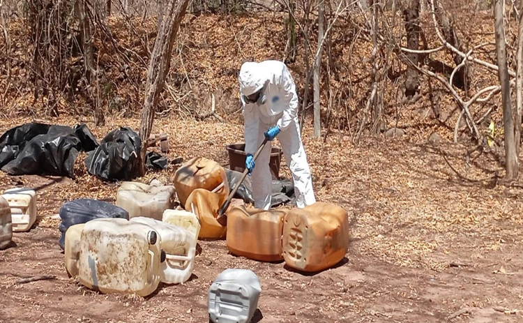 Sinaloa bajo Operativo: Desmantelan 16 laboratorios y decomisan arsenal del crimen organizado