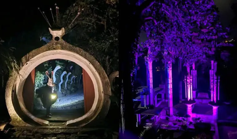 Disfruta del Recorrido Nocturno en en el Jardín Edward James. Foto: Cortesía. Disfruta del Recorrido Nocturno en en el Jardín Edward James. Foto: Cortesía.