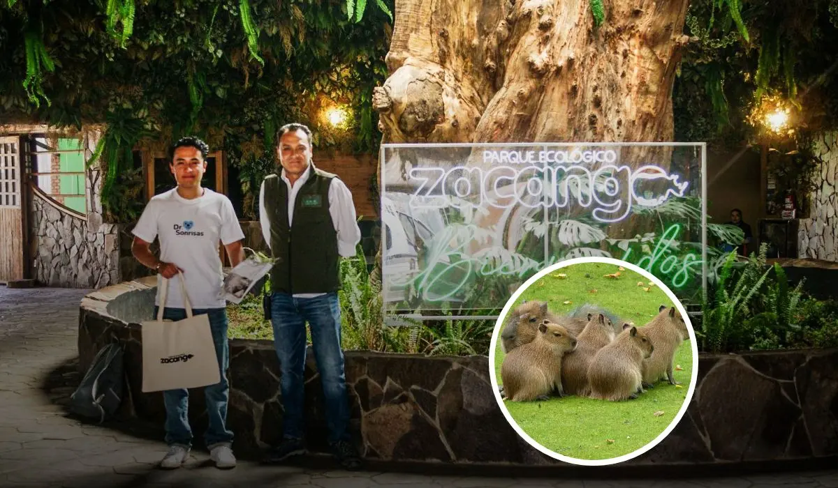 Visita y admira a los nuevos habitantes del Zoológico Zacango, en Edomex. Foto: Cortesía.