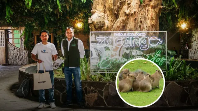 Visita y admira a los nuevos habitantes del Zoológico Zacango, en Edomex. Foto: Cortesía.