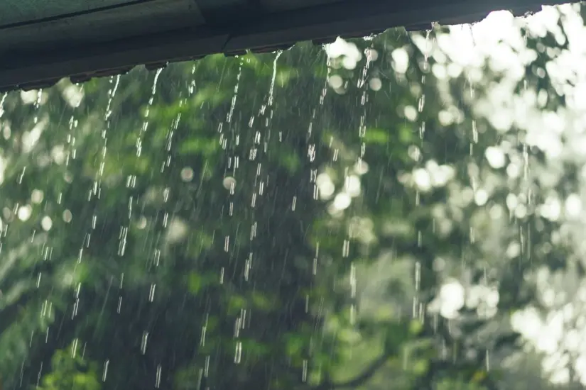 imagen recuadro La relación con las lluvias y la festividad de San Juan Foto: Freepik