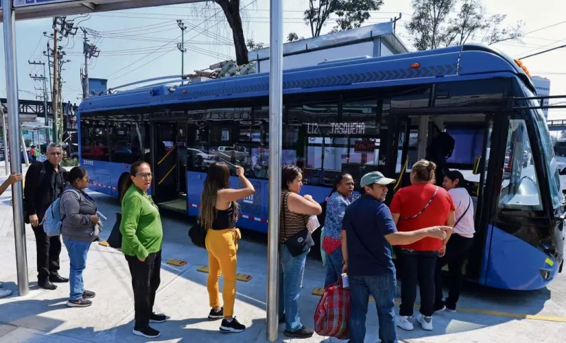 Se busca generar un ambiente de paz para el medio ambiente. Foto: Cortesía.