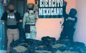 Rescatan a extranjero privado de la libertad en Guerrero y decomisan 80 kilogramos de droga
