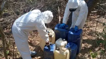Aseguran en Cosalá y Elota áreas de concentración para la elaboración de drogas