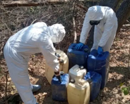 Aseguran en Cosalá y Elota áreas de concentración para la elaboración de drogas