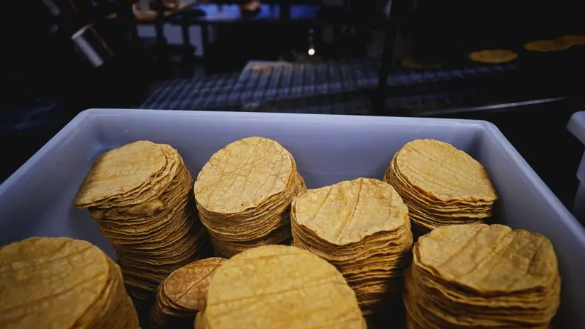 Estos son los ingredientes de la tortilla creada por la UNAM. Foto: Unsplash. Estos son los ingredientes de la tortilla creada por la UNAM. Foto: Unsplash.