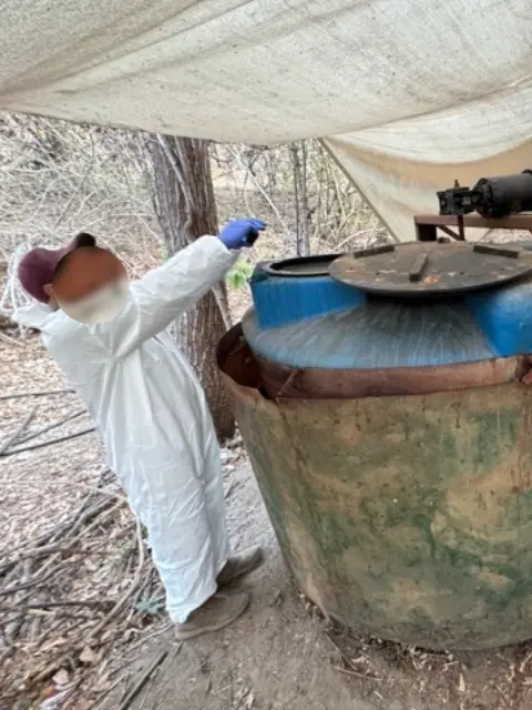 Desmantelamiento de narcolaboratorios en Sinaloa. Foto: X@ICEgov