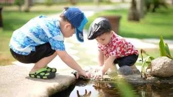 Kodomo no Hi: El Día de los Niños en Japón