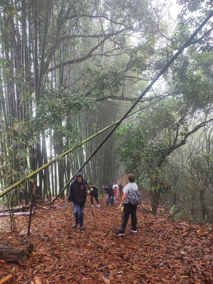 En esta ruta podrás poner a prueba tu instinto explorador. Foto: mexicodesconocido.com
