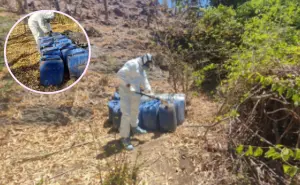 Golpe al narco en Cosalá: 33 millones de pesos en decomiso de metanfetamina