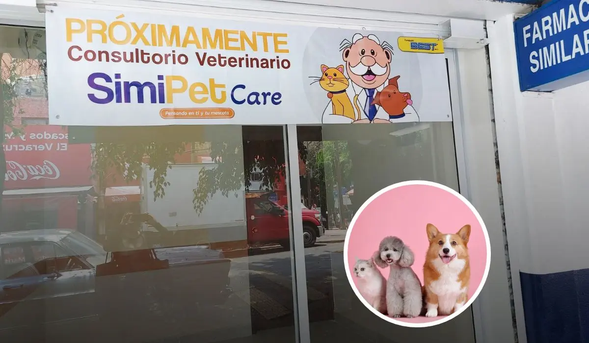 Conoce esta buena noticia para los animalitos por parte de Dr. Simi. Foto: Cortesía.