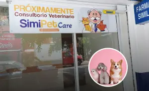 ¿Dr. Simi tendrá consultorios veterinarios de bajo costo? Esto es lo que se sabe