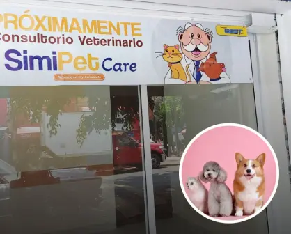 ¿Dr. Simi tendrá consultorios veterinarios de bajo costo? Esto es lo que se sabe