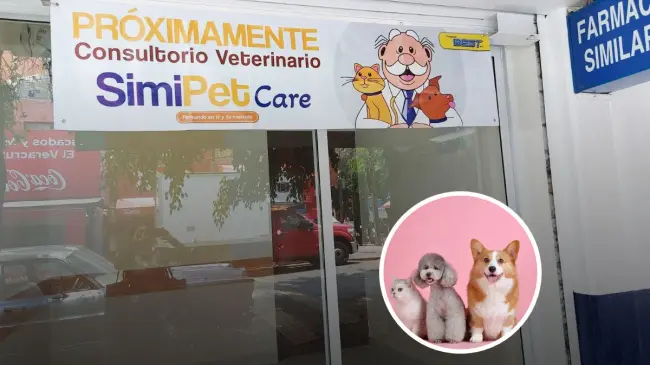 Conoce esta buena noticia para los animalitos por parte de Dr. Simi. Foto: Cortesía.